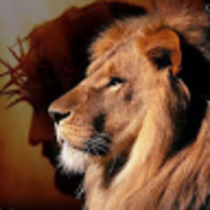 Meet your Posher, Oscar